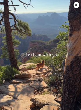 Take them with you