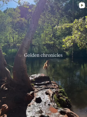 Golden chronicles