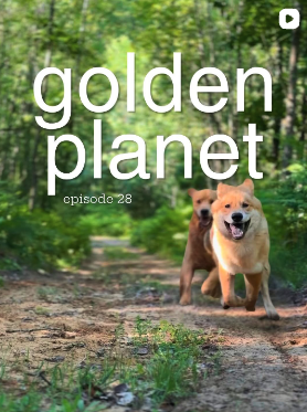 Golden Planet episode 28